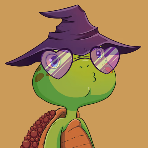 Turtle #342