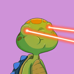 Turtle #310