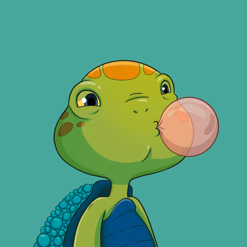 Turtle #208