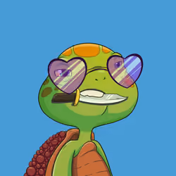 Turtle #234