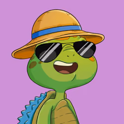 Turtle #212
