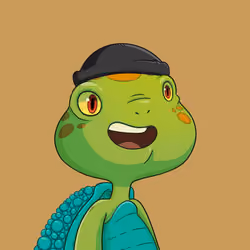 Turtle #344