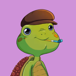 Turtle #140