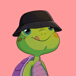 Turtle #309