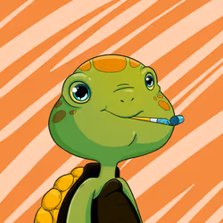 Turtle #142