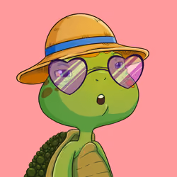 Turtle #247
