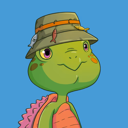 Turtle #357