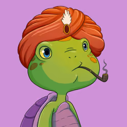 Turtle #312