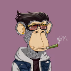 Unapologetic Apes #2865