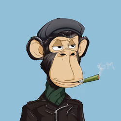 Unapologetic Apes #1351