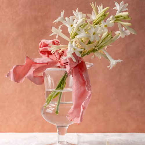 Still Life Anna Condo