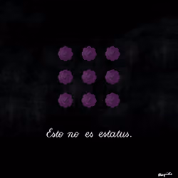Magritte Checks #362