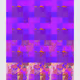 251