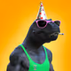 5077