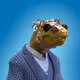3236