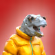 7247