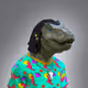 702