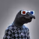 6062