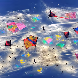 Flying a yellow coloured kite with a white stripe right down the middle into a sky full of kites.