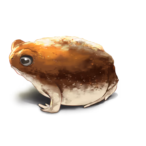 Frogs - xAkTTXmT1X