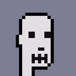 Skeleton Skin