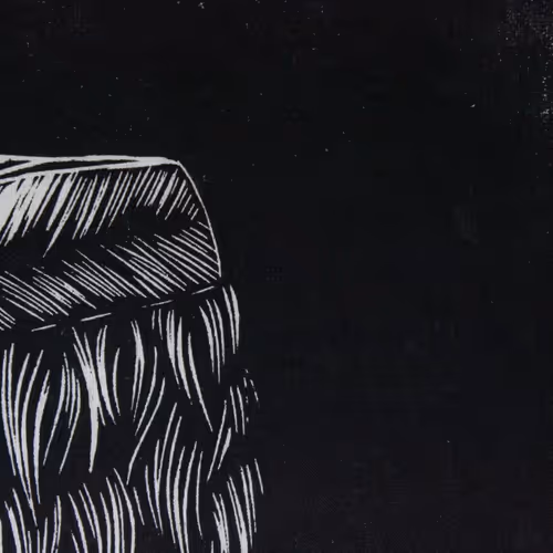 Cloak 44 #004