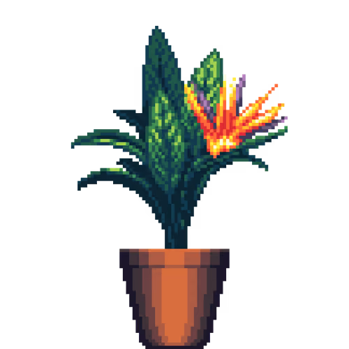Bird of Paradise in Cone pot