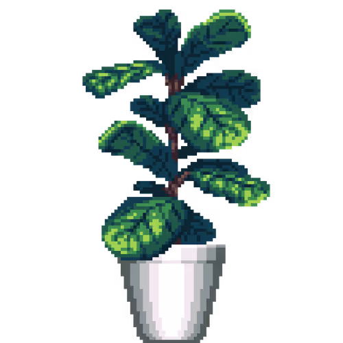 House Plants By Felt Zine