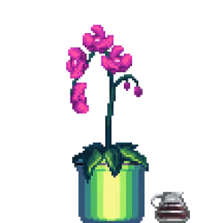 Purple Orchid in Large Pinstripe pot with Coffee Pot