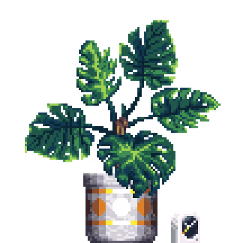 House Plants By Felt Zine