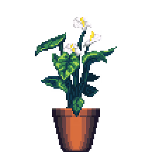 House Plants By Felt Zine