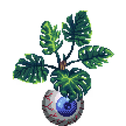 Monstera in Eyeball pot