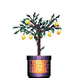 Lemon Tree in Large Felt Zine Two Tone pot