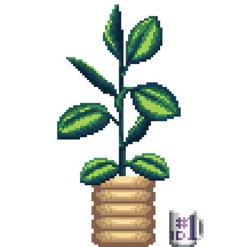 Rubber Plant in Rings pot with Number 1 Dad Mug