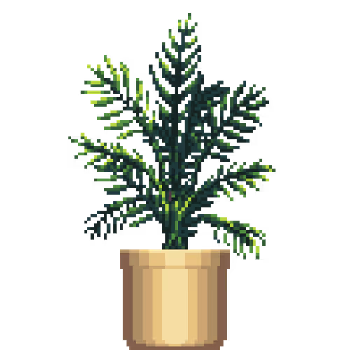 House Plants By Felt Zine
