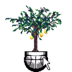 Lemon Tree in Net Art Basketball pot