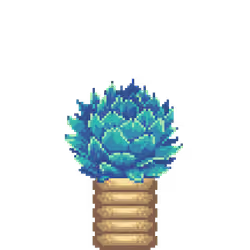 Artichoke Agave in Rings pot