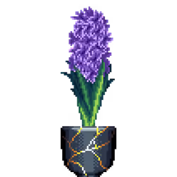 Purple Hyacinth in Kintsugi pot