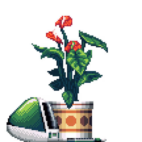 House Plants By Felt Zine