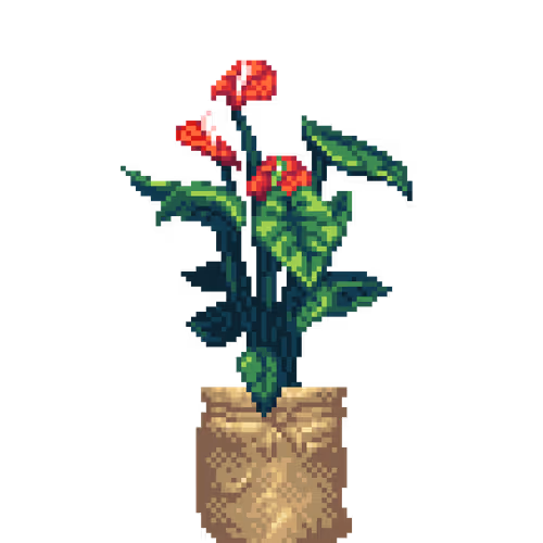 House Plants By Felt Zine
