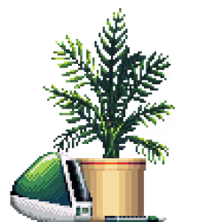Areca Palm in Large Pinstripe pot with iMac