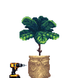Fiddle-Leaf Fig in Burlap Sack pot with Drill