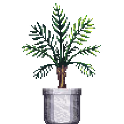 Areca Palm in Large Marble pot