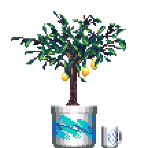 Lemon Tree in Large Jazz pot with Cool S Mug