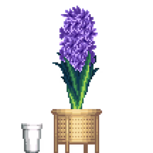 House Plants By Felt Zine