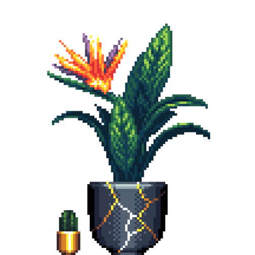 House Plants By Felt Zine