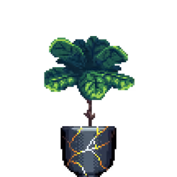 Fiddle-Leaf Fig in Kintsugi pot