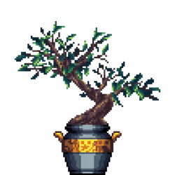 Ficus Bonsai in Greek Vase pot