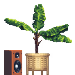 Banana Tree in Light Wood Rattan pot with Speaker