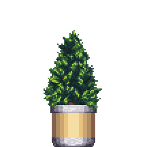 House Plants By Felt Zine
